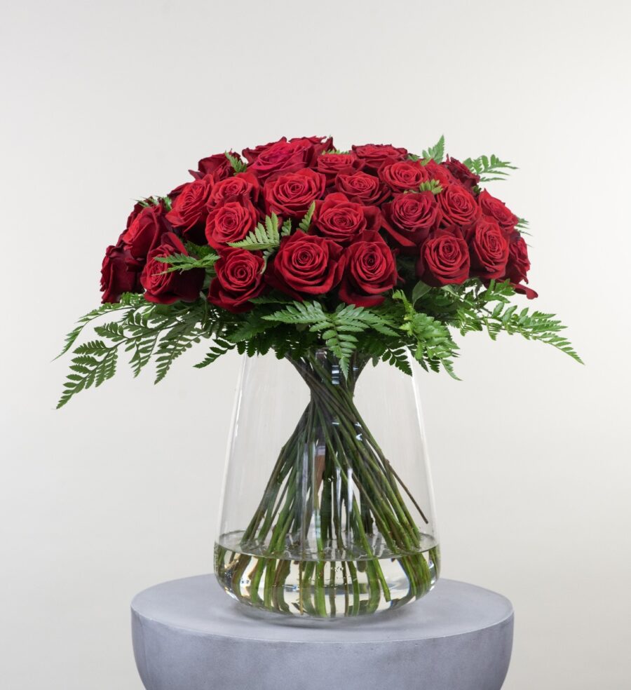 40 Stem NZ Red Roses